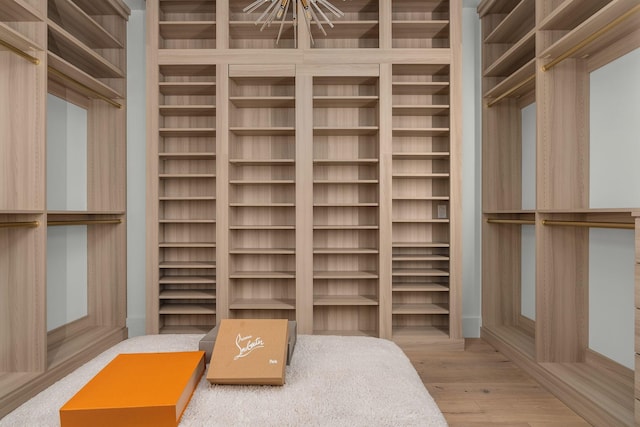 spacious closet featuring wood finished floors