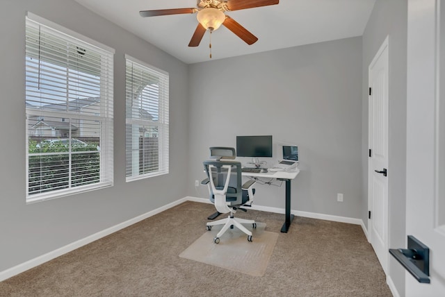 office with ceiling fan, carpet floors, and baseboards