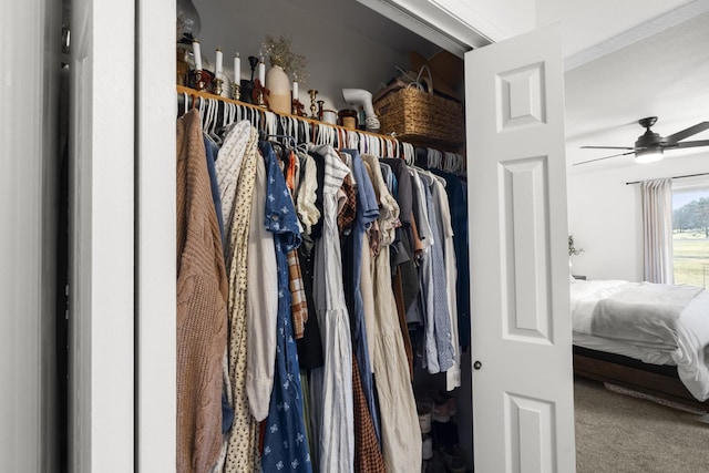 view of closet