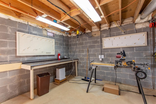 unfinished basement with a workshop area