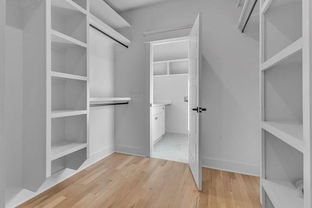 spacious closet featuring light wood-style flooring