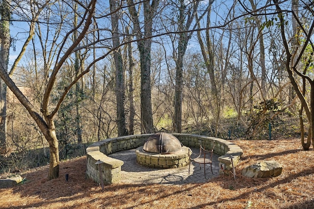 view of yard featuring an outdoor fire pit