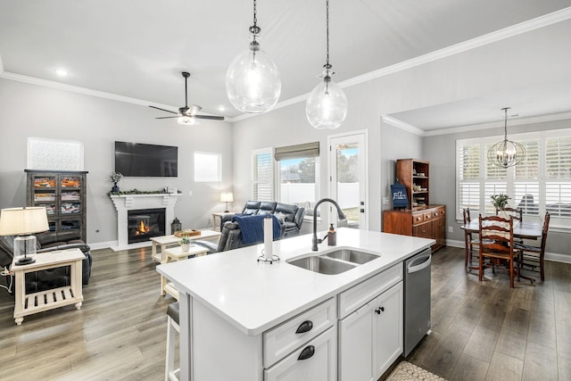 kitchen featuring stainless steel dishwasher, a glass covered fireplace, a sink, and dark wood finished floors