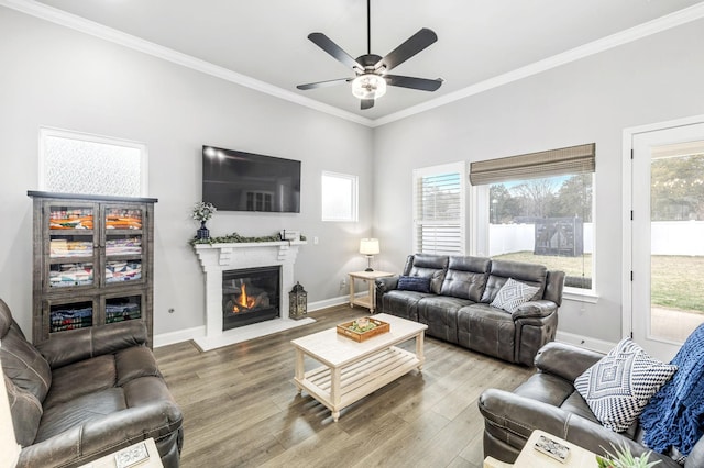 living area featuring a fireplace with flush hearth, ornamental molding, wood finished floors, and baseboards