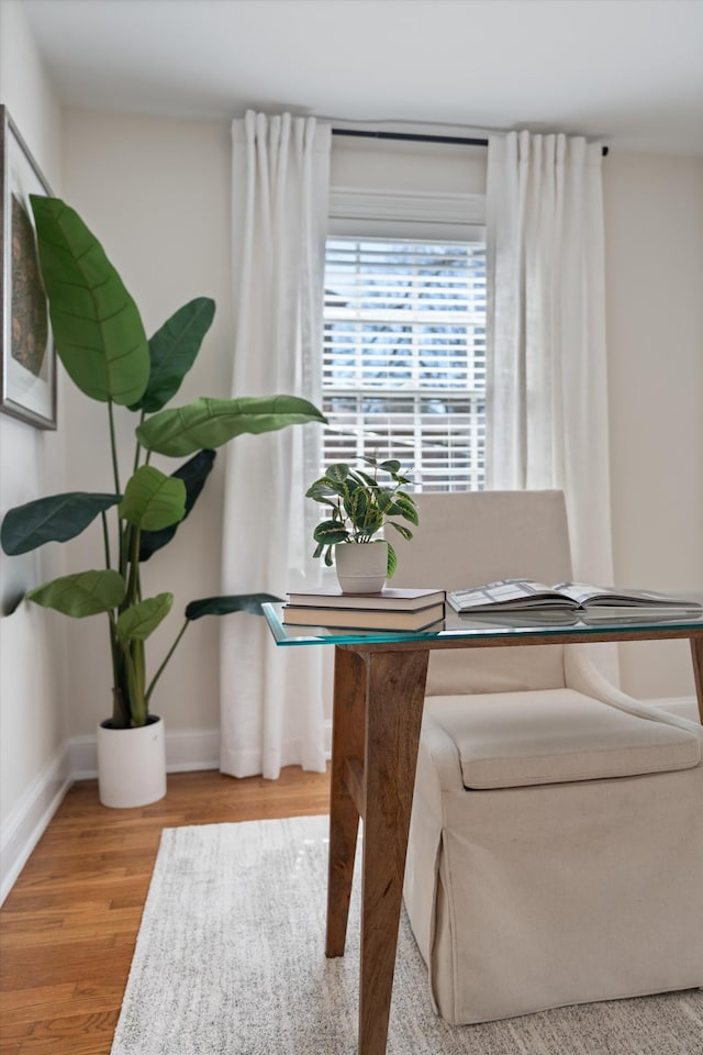 office area featuring baseboards and wood finished floors