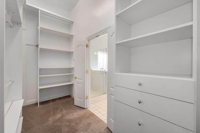 walk in closet with carpet floors