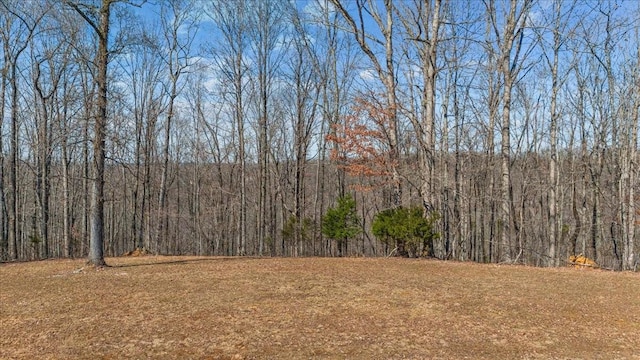 0 Rustic Valley Dr, Waverly TN, 37185 land for sale