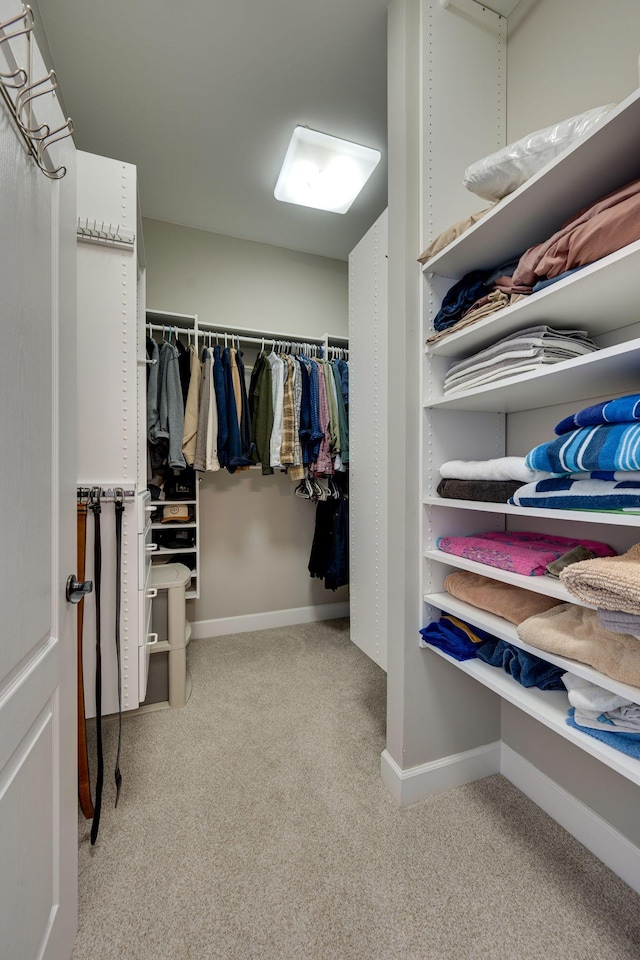 305 Seven Springs Way Unit 401, Brentwood, TN 37027 - spacious closet featuring carpet floors