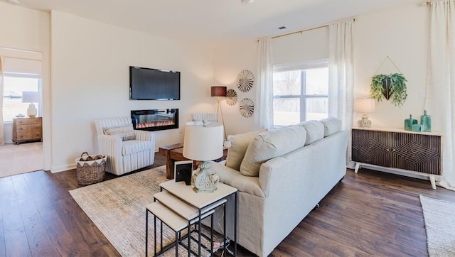 living room with wood finished floors, a glass covered fireplace, and radiator