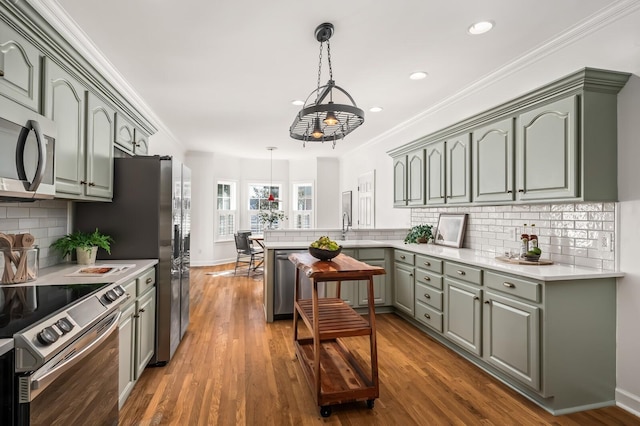 kitchen featuring stainless steel appliances, ornamental molding, a peninsula, and wood finished floors