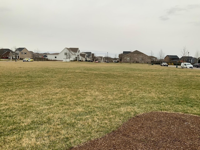 view of yard featuring a residential view