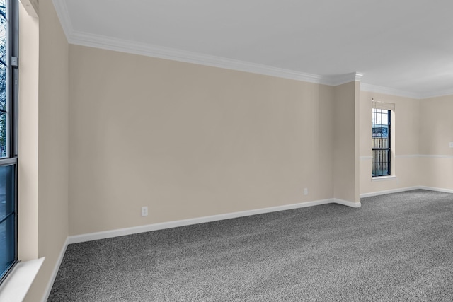 carpeted spare room featuring crown molding and baseboards