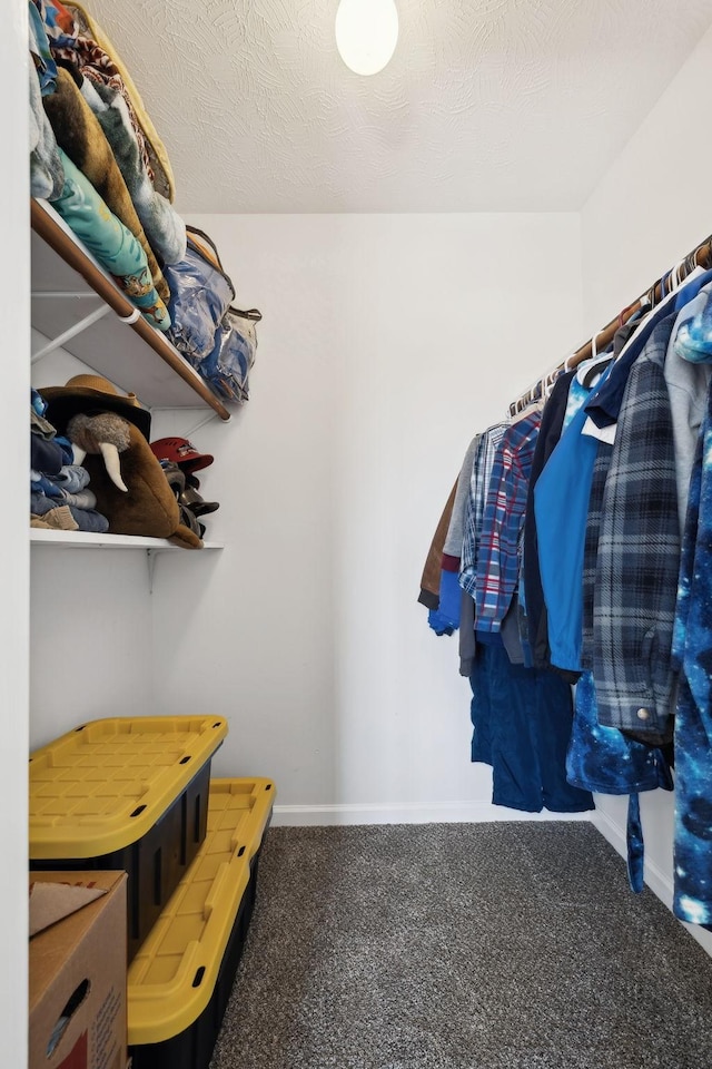 spacious closet featuring carpet floors