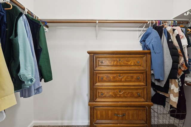 view of spacious closet