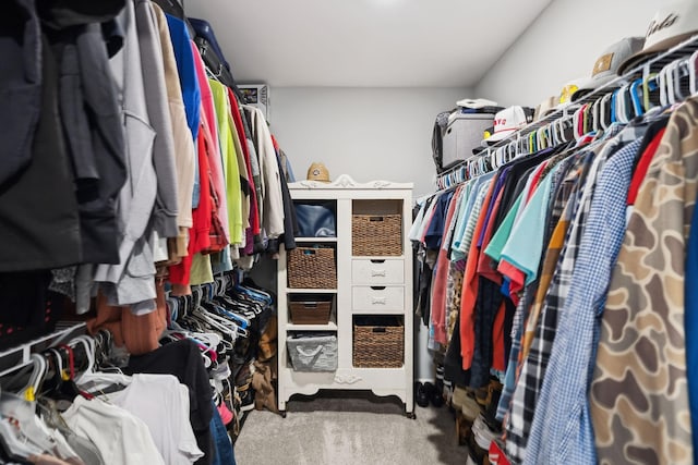 walk in closet featuring carpet flooring