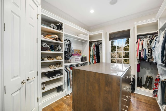 spacious closet featuring dark wood finished floors