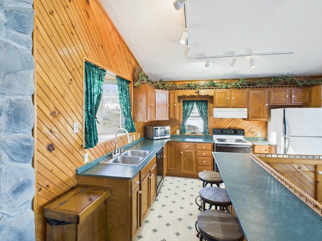 kitchen with electric range oven, stainless steel microwave, freestanding refrigerator, range hood, and a sink