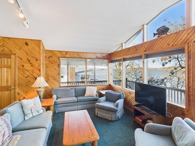 living area featuring a textured ceiling, wood walls, carpet, and lofted ceiling