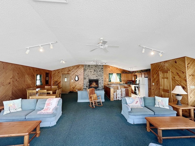 living room featuring wood walls, vaulted ceiling, and a textured ceiling