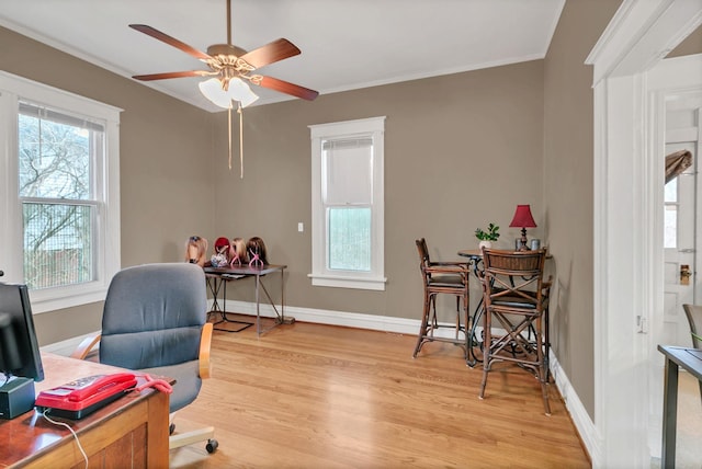 office space with crown molding, baseboards, light wood-type flooring, and ceiling fan