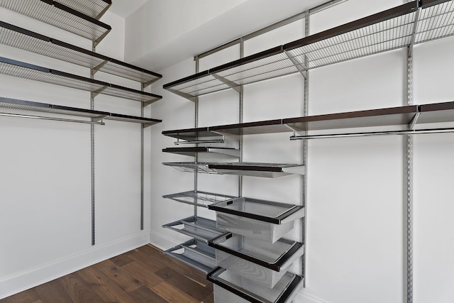 spacious closet with dark wood-type flooring