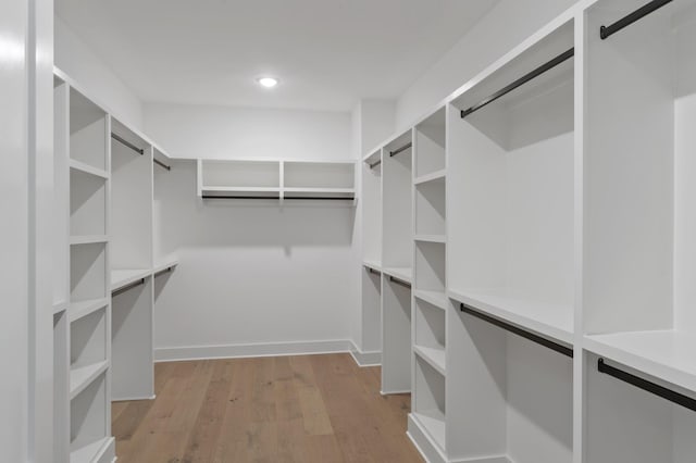 spacious closet featuring wood finished floors