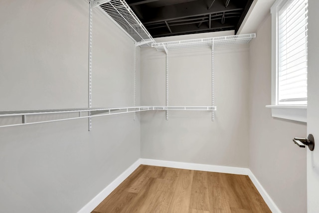 walk in closet featuring wood finished floors