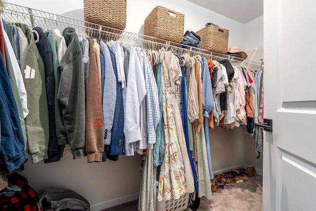 spacious closet featuring carpet floors