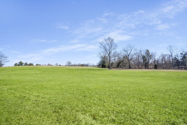 view of yard featuring a rural view