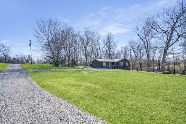 view of yard featuring gravel driveway