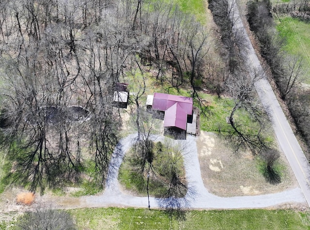 aerial view