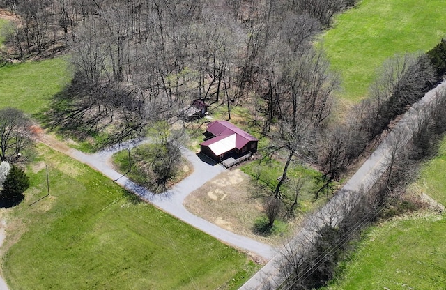 bird's eye view