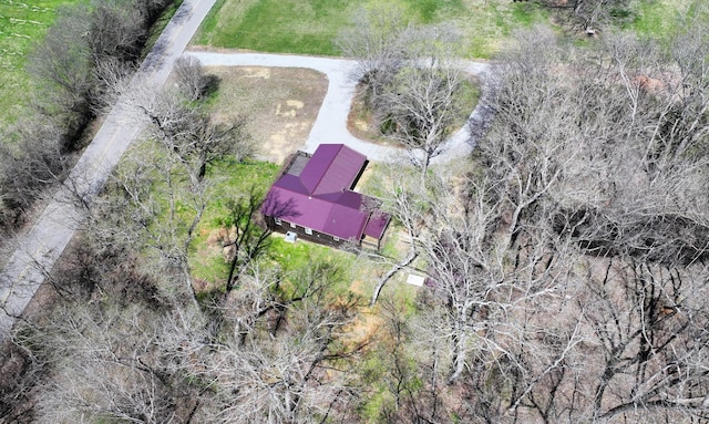 bird's eye view