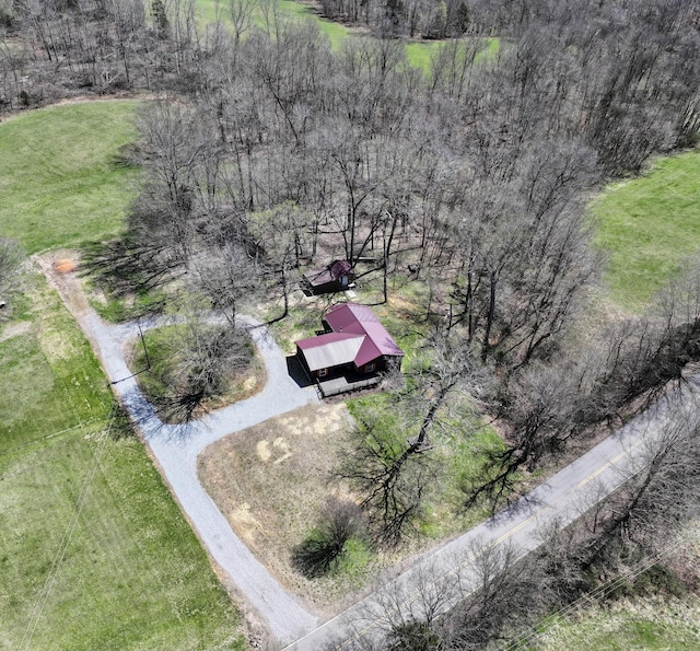 drone / aerial view