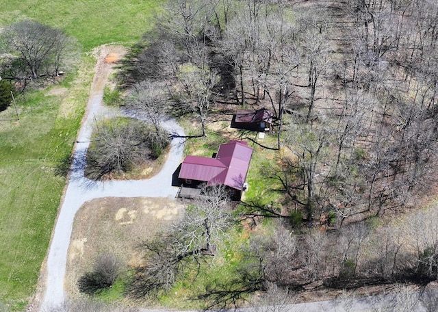 drone / aerial view