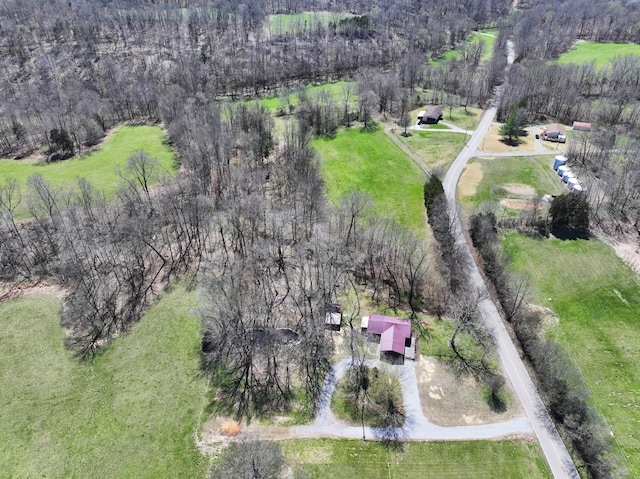drone / aerial view with a forest view