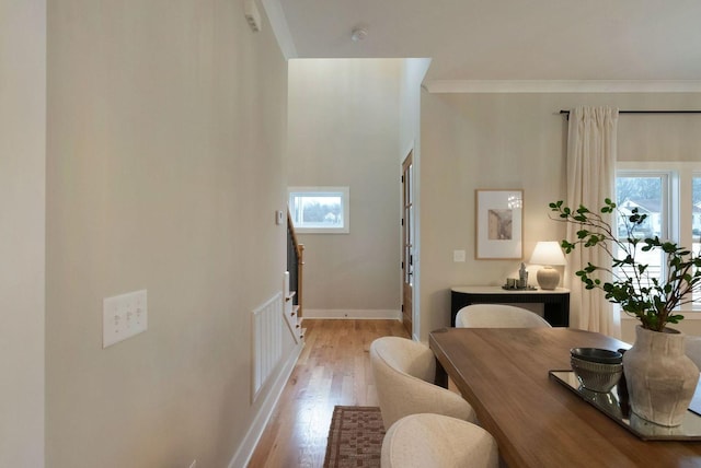 interior space featuring baseboards, ornamental molding, light wood-style flooring, and a healthy amount of sunlight