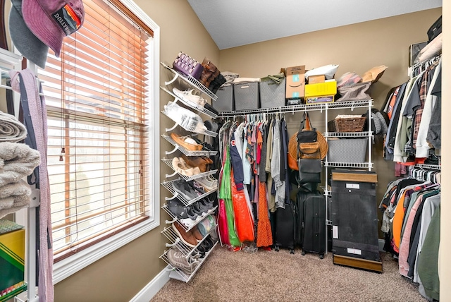 walk in closet with carpet