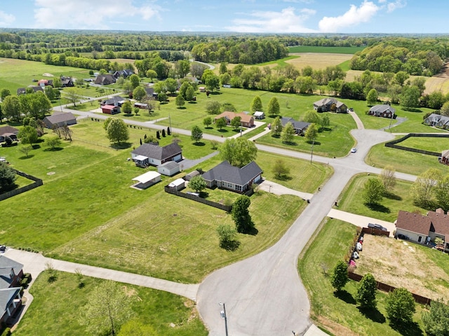 drone / aerial view