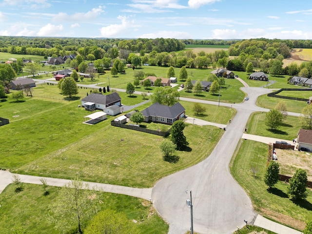 bird's eye view