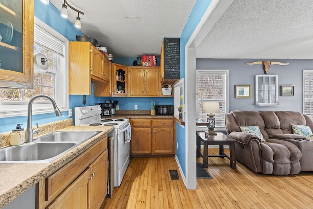 kitchen with light wood-style floors, electric range, open floor plan, and a sink