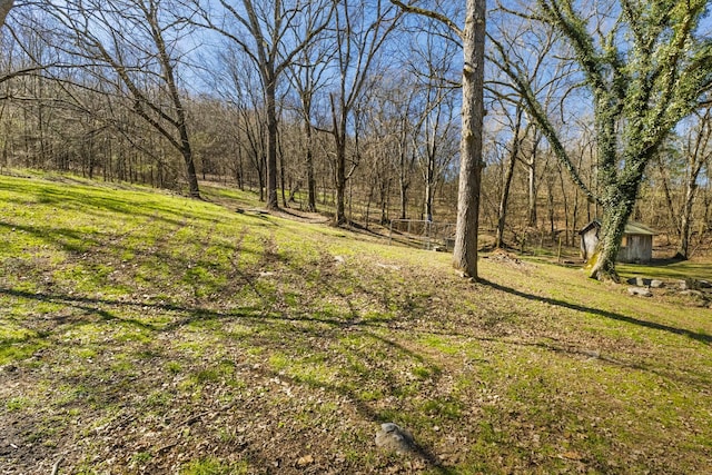 view of yard featuring a forest view and an outbuilding