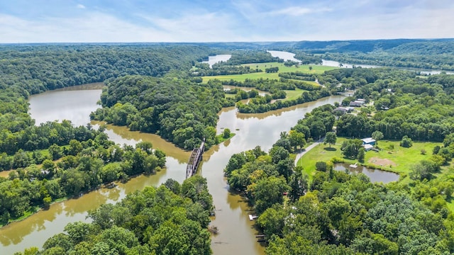 drone / aerial view with a water view and a view of trees