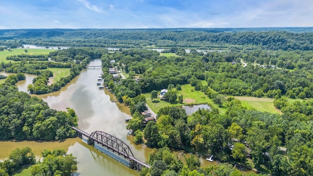 birds eye view of property featuring a water view and a view of trees