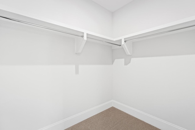 spacious closet featuring carpet floors