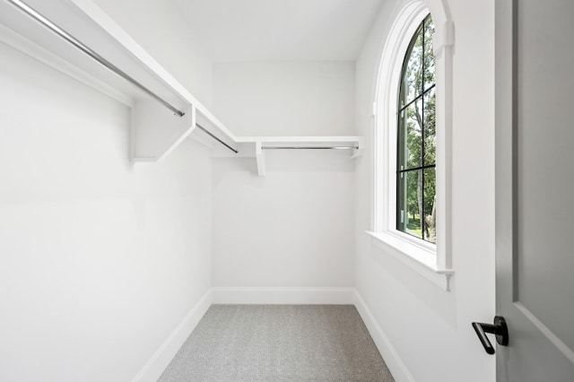 walk in closet featuring carpet flooring