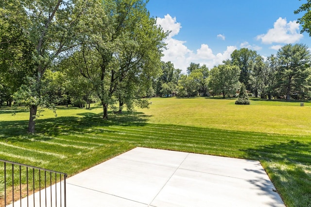 view of yard with a patio