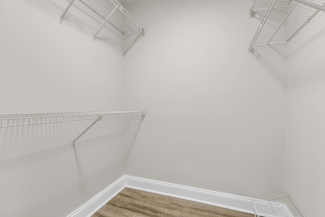 walk in closet featuring wood finished floors