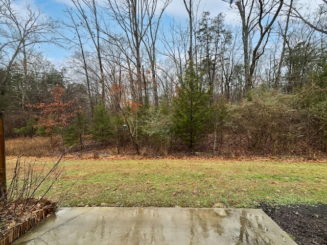 view of yard featuring a patio area