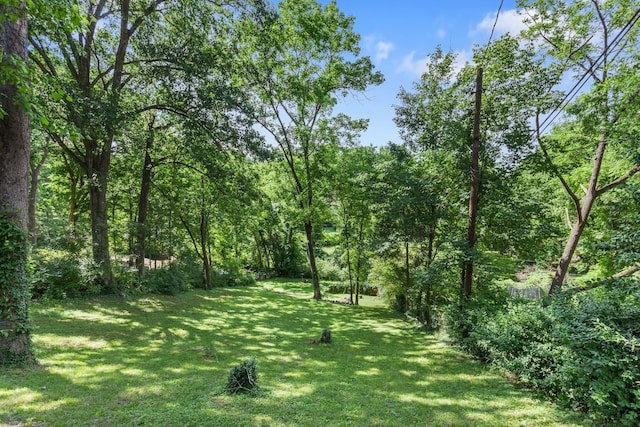 view of yard featuring a forest view